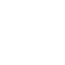 feature-icon