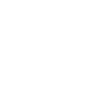 feature-icon