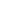 feature-icon