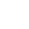 feature-icon