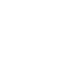 feature-icon